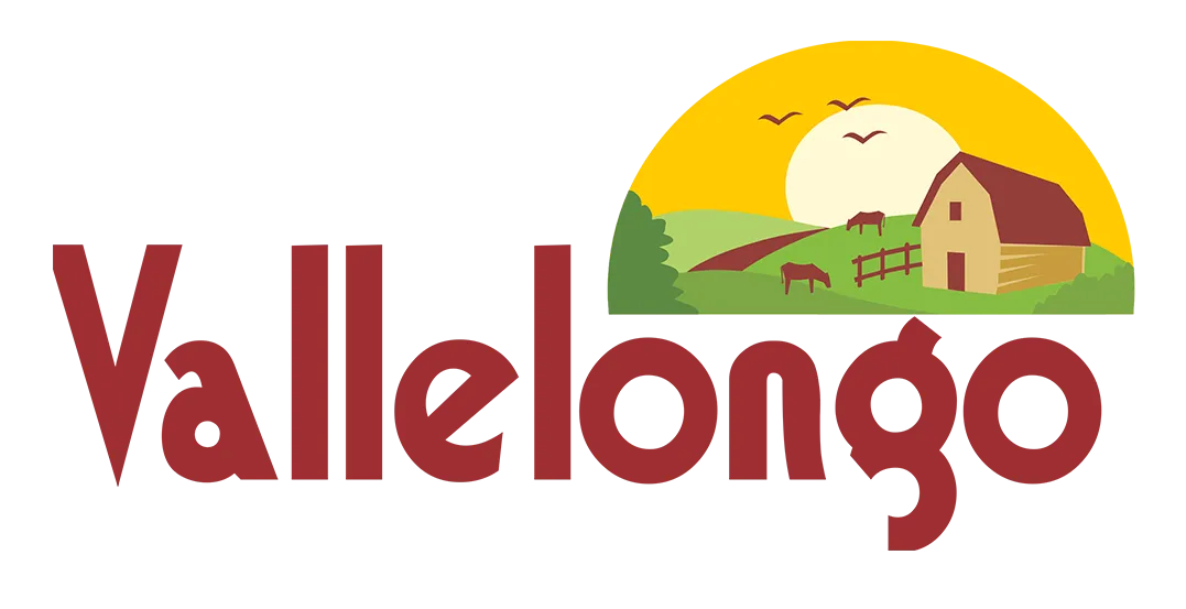vallellongo quesos artesanos Vallellongo quesos artesanos del Bierzo