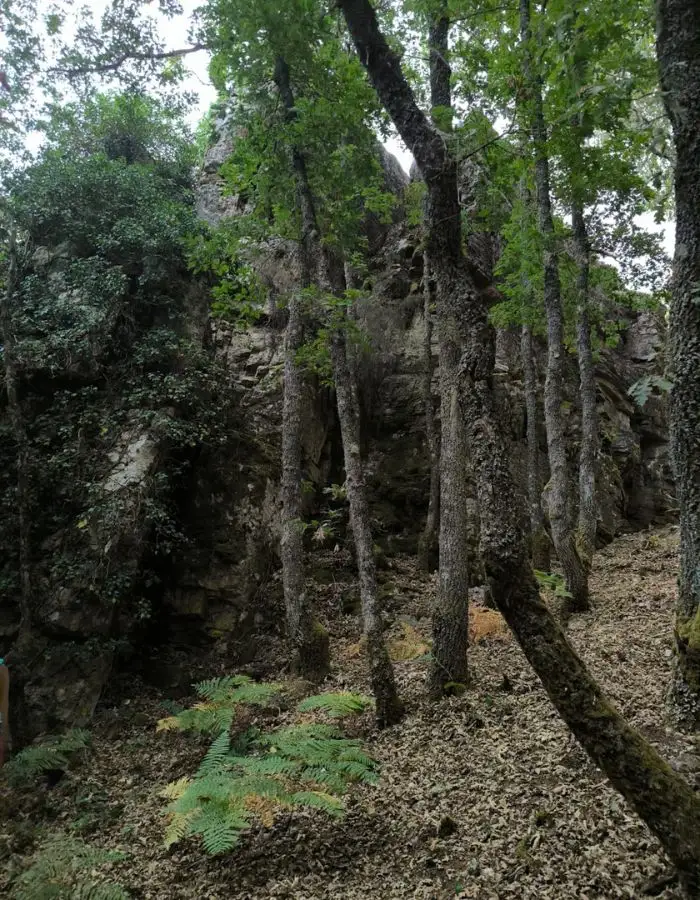 paisaje visita mina vallelongo