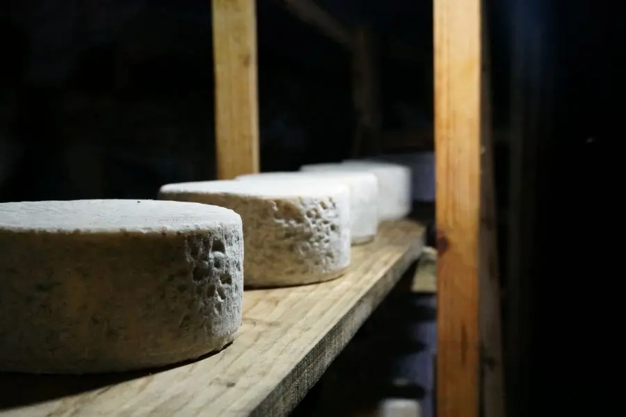 queso azul Vallelongo