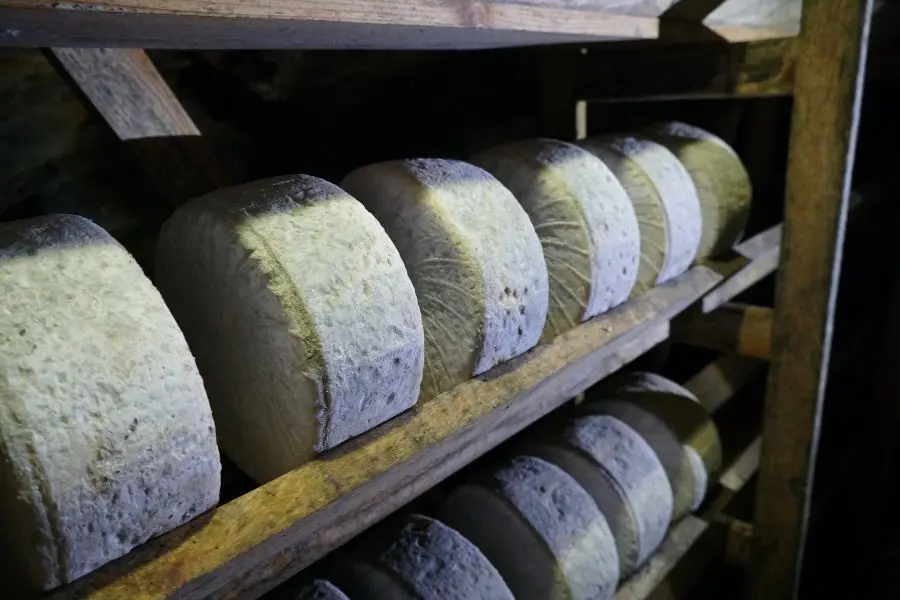 quesos en la mina vallelongo