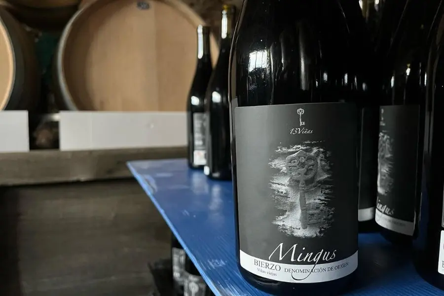 vino bierzo con quesos Vallelongo