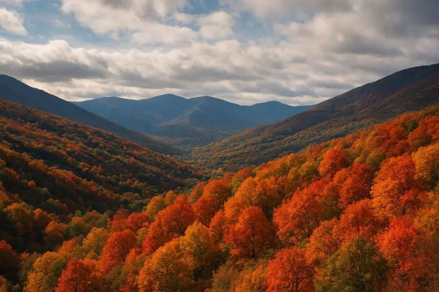 planes de otoño en El Bierzo