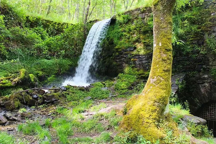 Salto de agua en la Herrería de Compludo