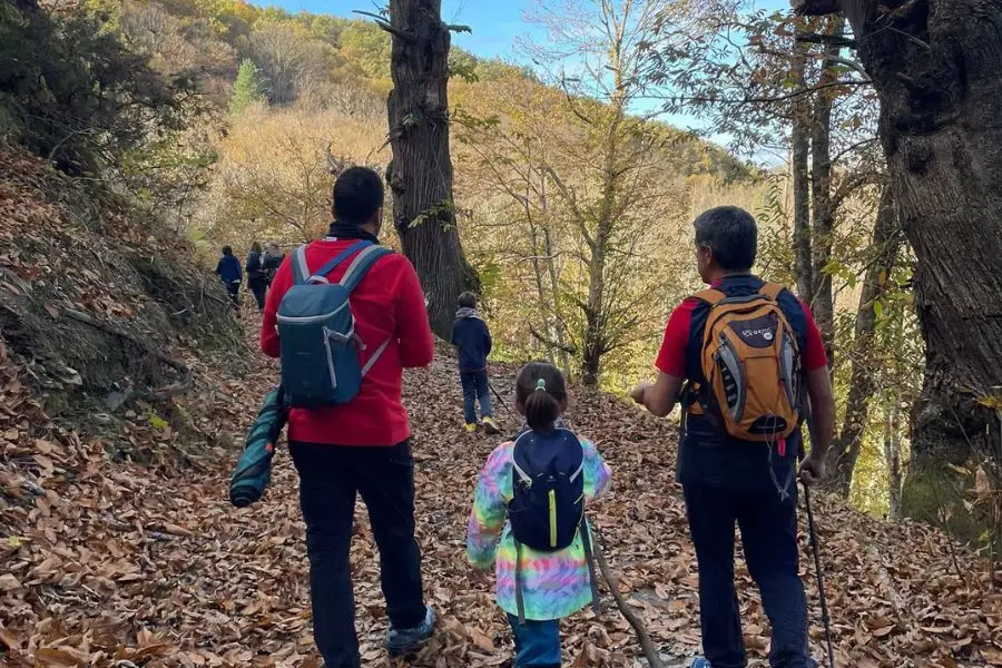 Senderistas recorriendo un bosque de castaños en El Bierzo
