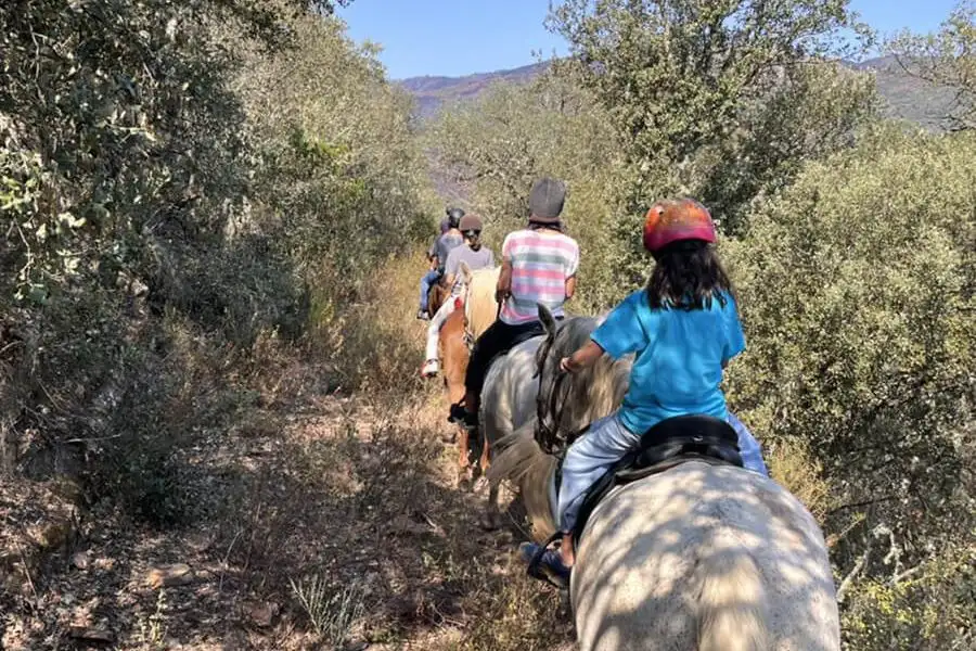 montar a caballo para niños en El Bierzo
