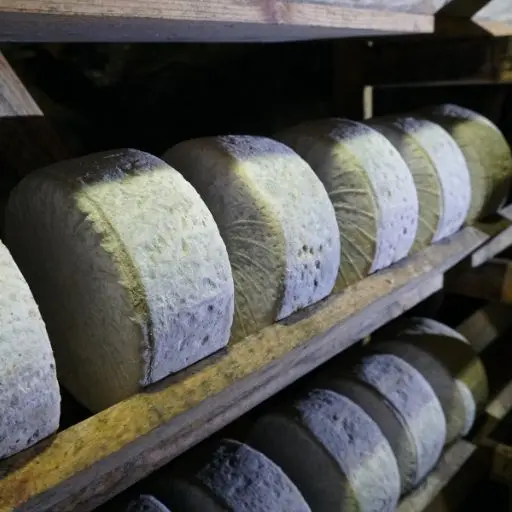 queso azul madurando en la mina de Valleongo