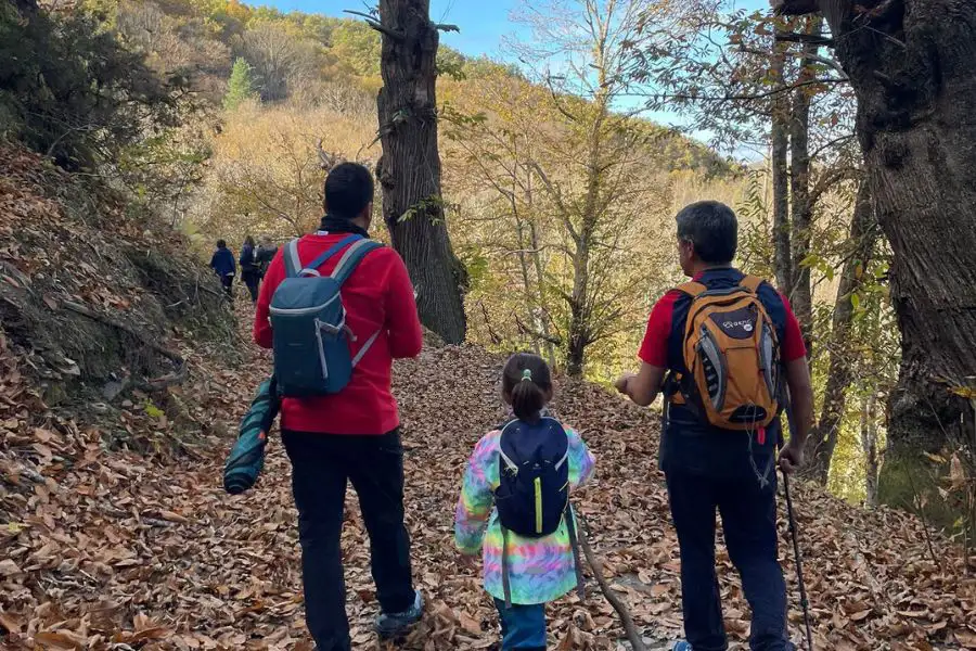 ruta por los castaños del Bierzo con niños