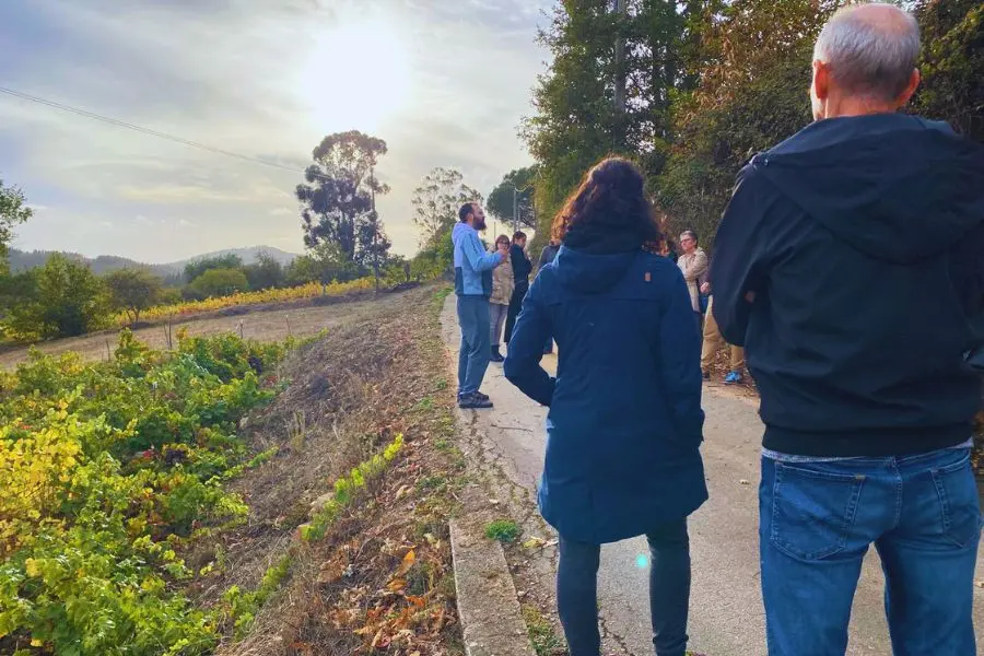 Visita el viñedo en la cata de vinos Ponferrada