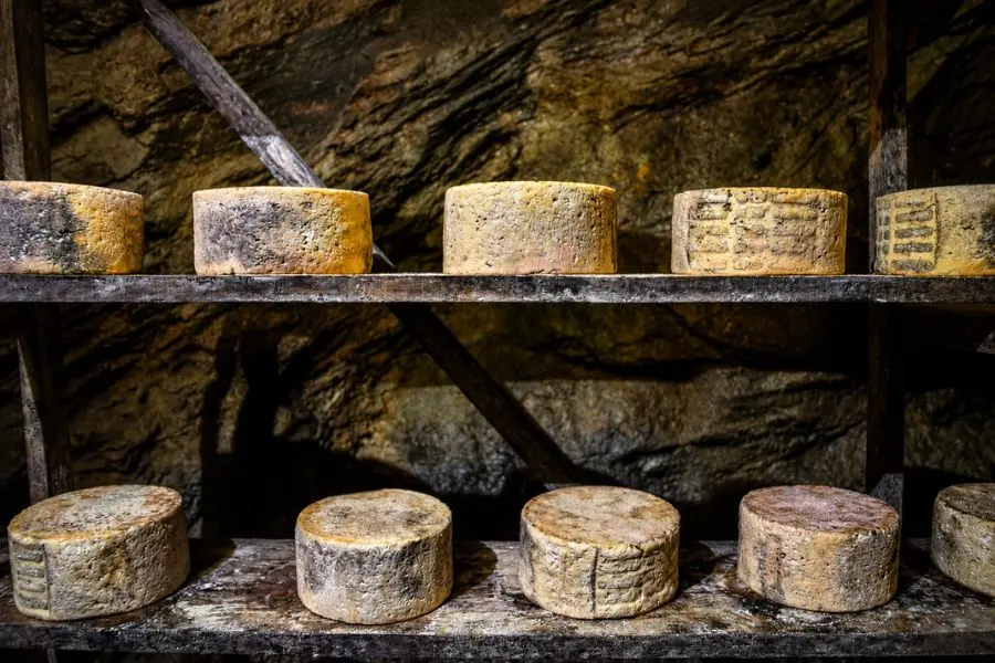 interior mina maduracion queso bierzo