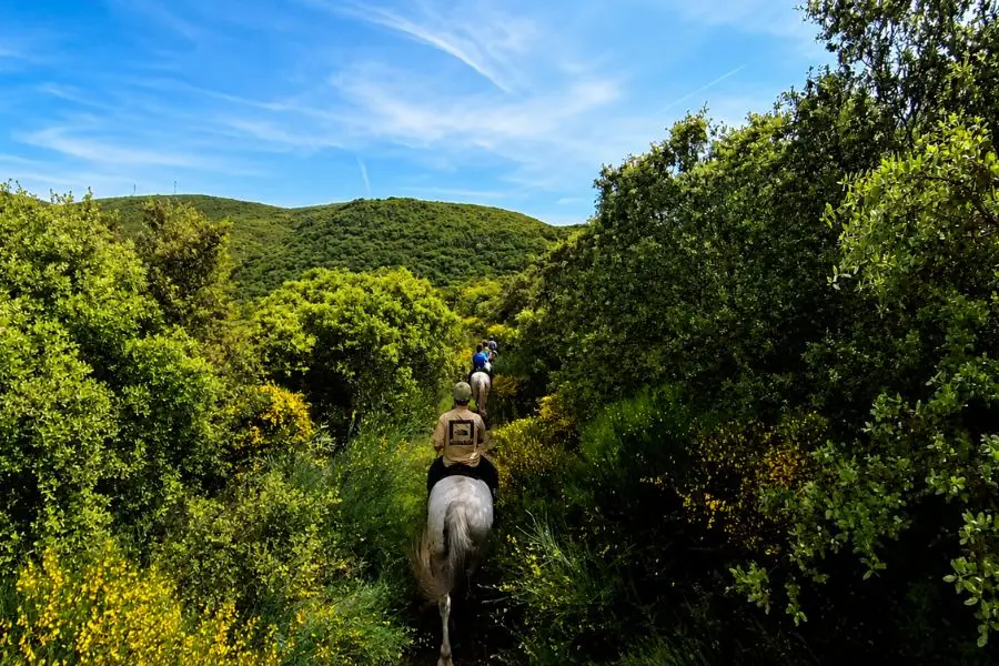 montar a caballo por las Médulas