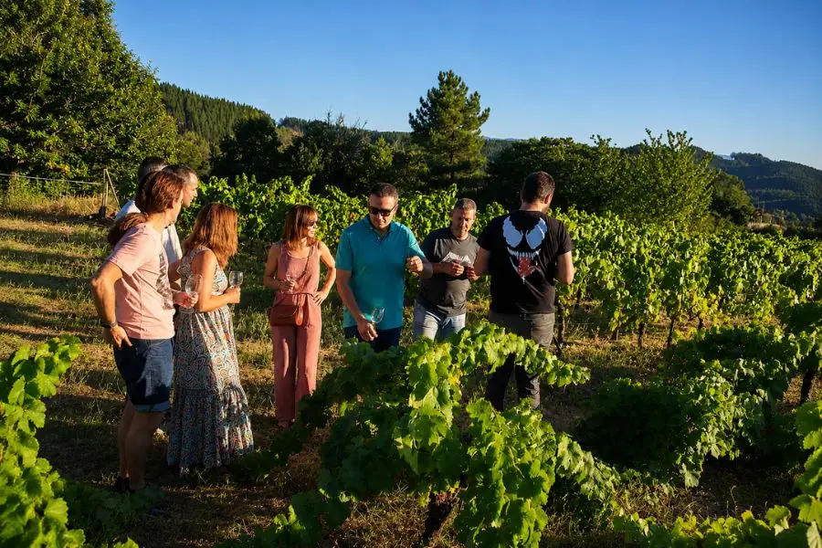 enólogo en viñedo El Bierzo enoturismo cata vino y queso
